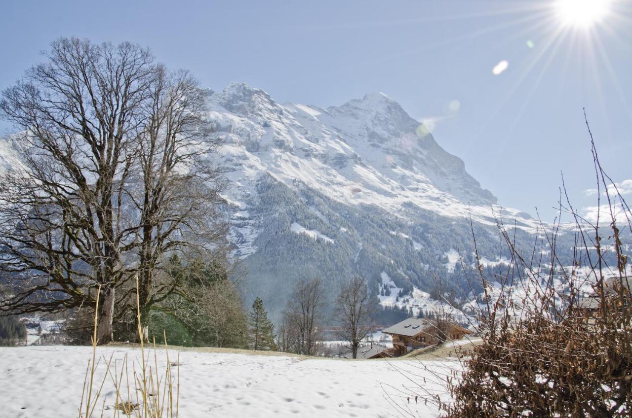Apartment Nussbaum - Griwa Rent Ag Grindelwald Exterior photo